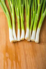 Spring green onion on wooden board