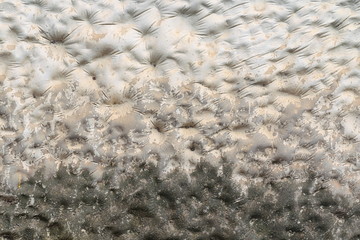 relief cement wall background