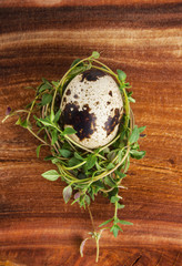 Quail egg with thyme on a wooden table