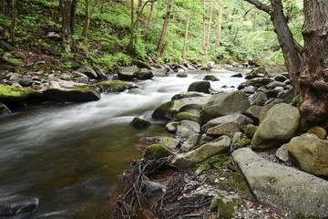 der Fluss Bode im Nationalpark Harz