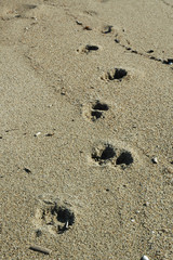 Empreintes 2