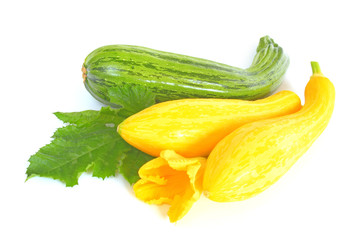 Zucchini