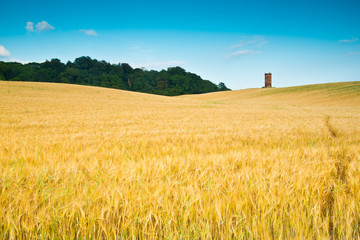 Circular red brick Dovecote Folly in an English rural Landscape