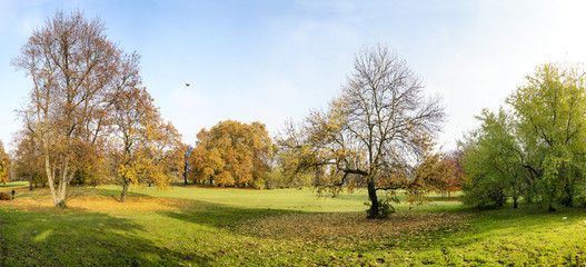 Obraz premium Herbst