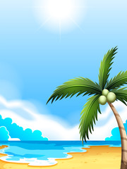 Fototapeta na wymiar A beach with a coconut tree