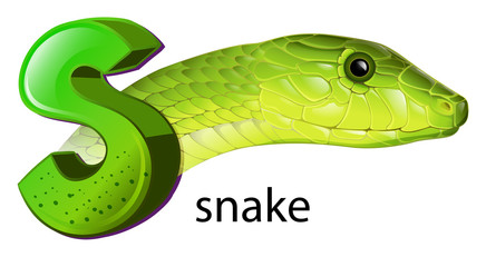 A snake and a letter S
