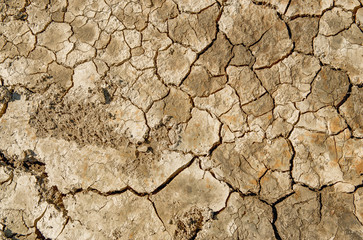 Dry and cracked earth background