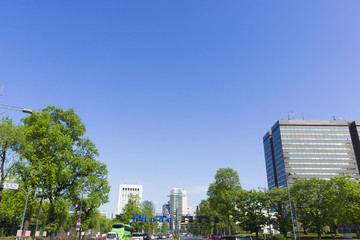 Obraz premium ［東京都市風景］快晴青空と新緑の桜田門の前の幹線道路（内堀通り）
