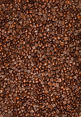 Coffee Bean Background