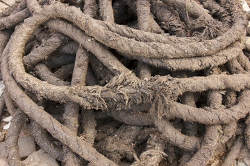 Used twisted thick rope 