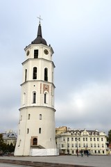 Fototapeta na wymiar The Cathedral of Vilnius and St. Vladislav