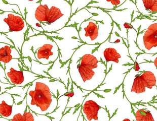 poppy flower ornamental background