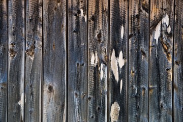 Aged Wooden Wall Backdrop