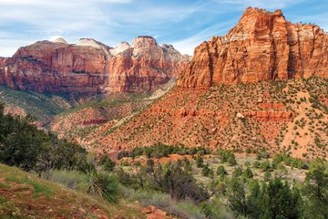 Fototapeta premium Zion Park Landscape Utah