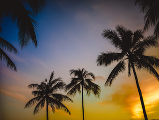 Obraz premium Retro Hawaiian Sunset