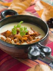 mushroom soup