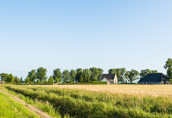 Ripening corn and an historic farm