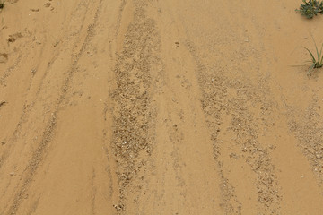 Texture-wet sand