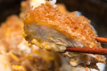 カツ丼 pork cutlet 黒背景