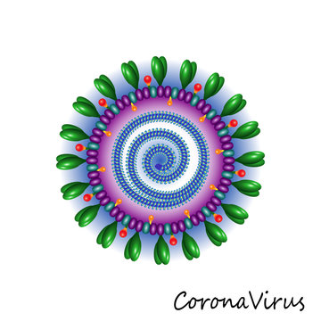 Corona virus particle structure. Coronavirus isolated vector illustration for pandemic infographic.