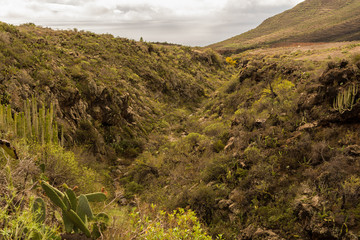 Blick über das vulkanische Gebirge Teneriffas