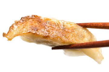焼き餃子 jaozi dumpling 白背景
