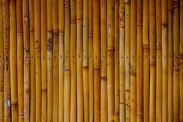 bamboo fence background - Texture