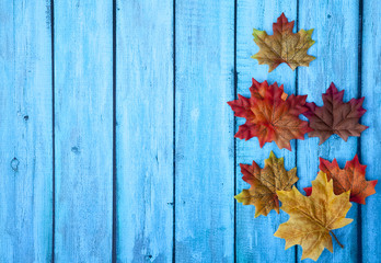 Naklejka na ściany i meble Autumn Leaves Thanksgiving Background