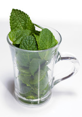 Mint leaves in glass cup isolated on white