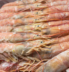 Close up of raw frozen Argentina red shrimps