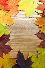 Vintage Autumn wooden border from maple and fallen leaves
