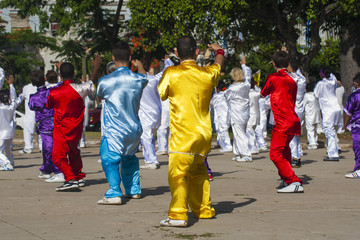 wushu - 68208702