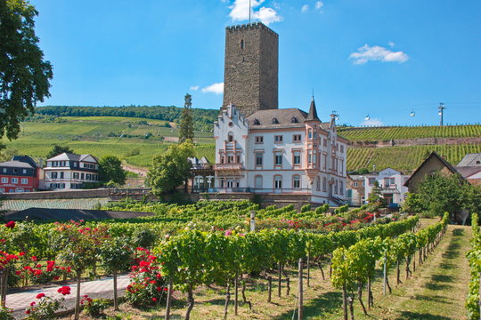 R&uuml;desheim, Boosenburg mit Weing&auml;rten und Weinbergen, Niederwald