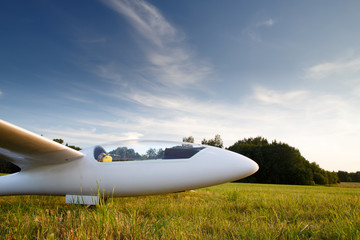 Landed sailplane on ground - obrazy, fototapety, plakaty