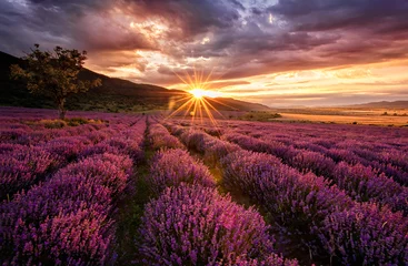 Crédence de cuisine en verre imprimé Violet Paysage magnifique avec champ de lavande au lever du soleil