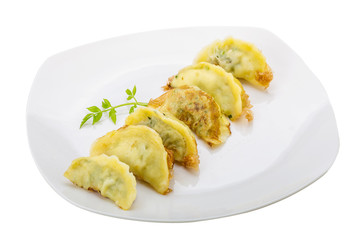 Japan dumplings - gyoza