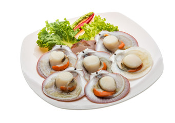 Raw fresh scallop