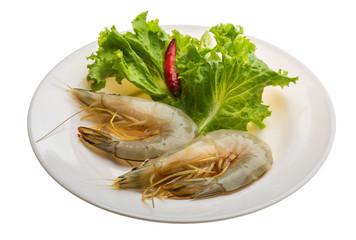 Tiger prawn
