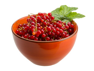 Red currant
