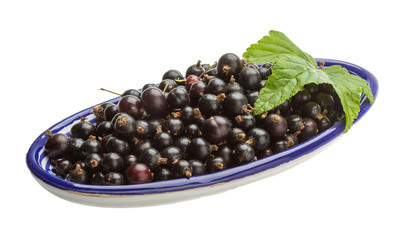 Black currant