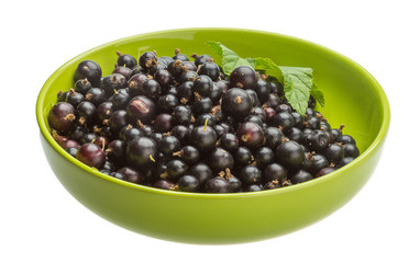 Black currant