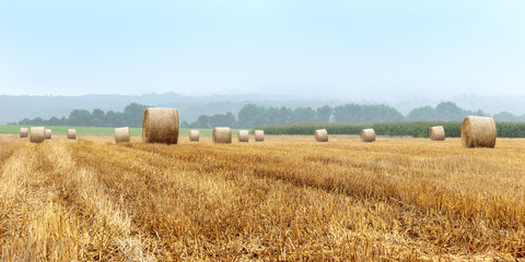 Hay Bales on a foggy morning