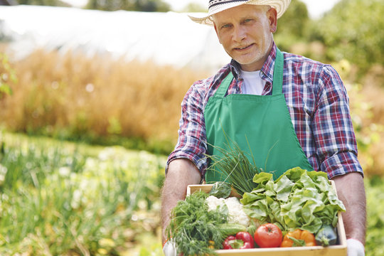 Portrait of proud man with his harvest in home garden
