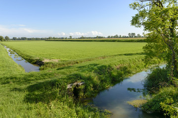 ditches and fields of Adda park near Abbadia Cerreto