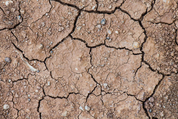 dry soil texture background