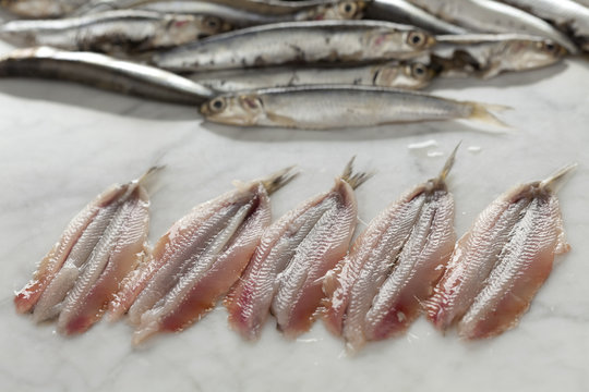 Fresh European anchovies