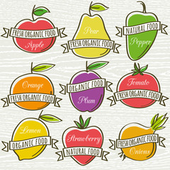set of organic vegetable and fruit, vector illustration