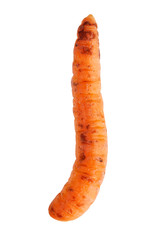 Fine ripe curve carrots