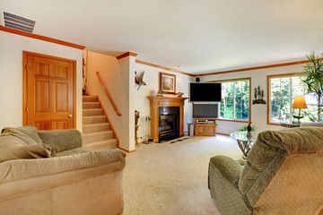 Bright large living room with TV.