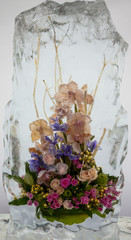 beautiful flowers with ice